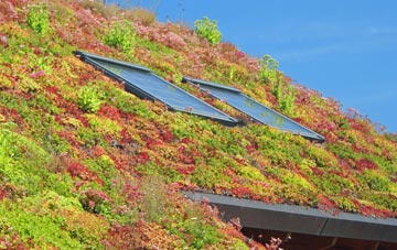 Dennington Corner living roof systems
