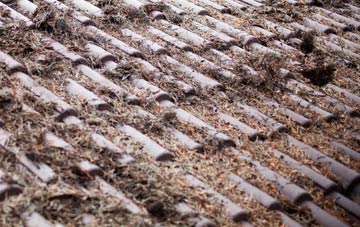 Dennington Corner roof cleaning companies